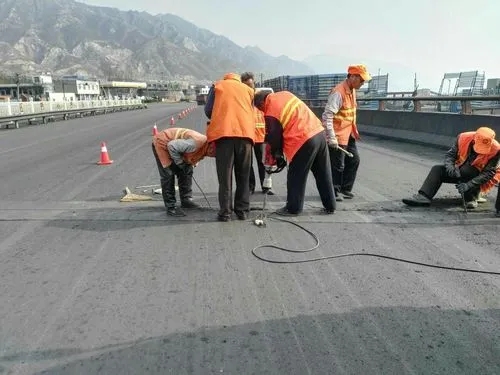 咸丰道路桥梁病害治理